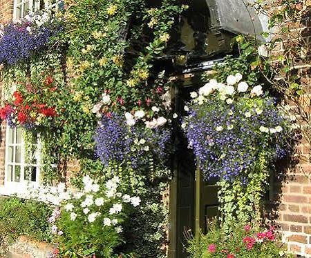 The Alvanley Arms - Inn Cotebrook Экстерьер фото